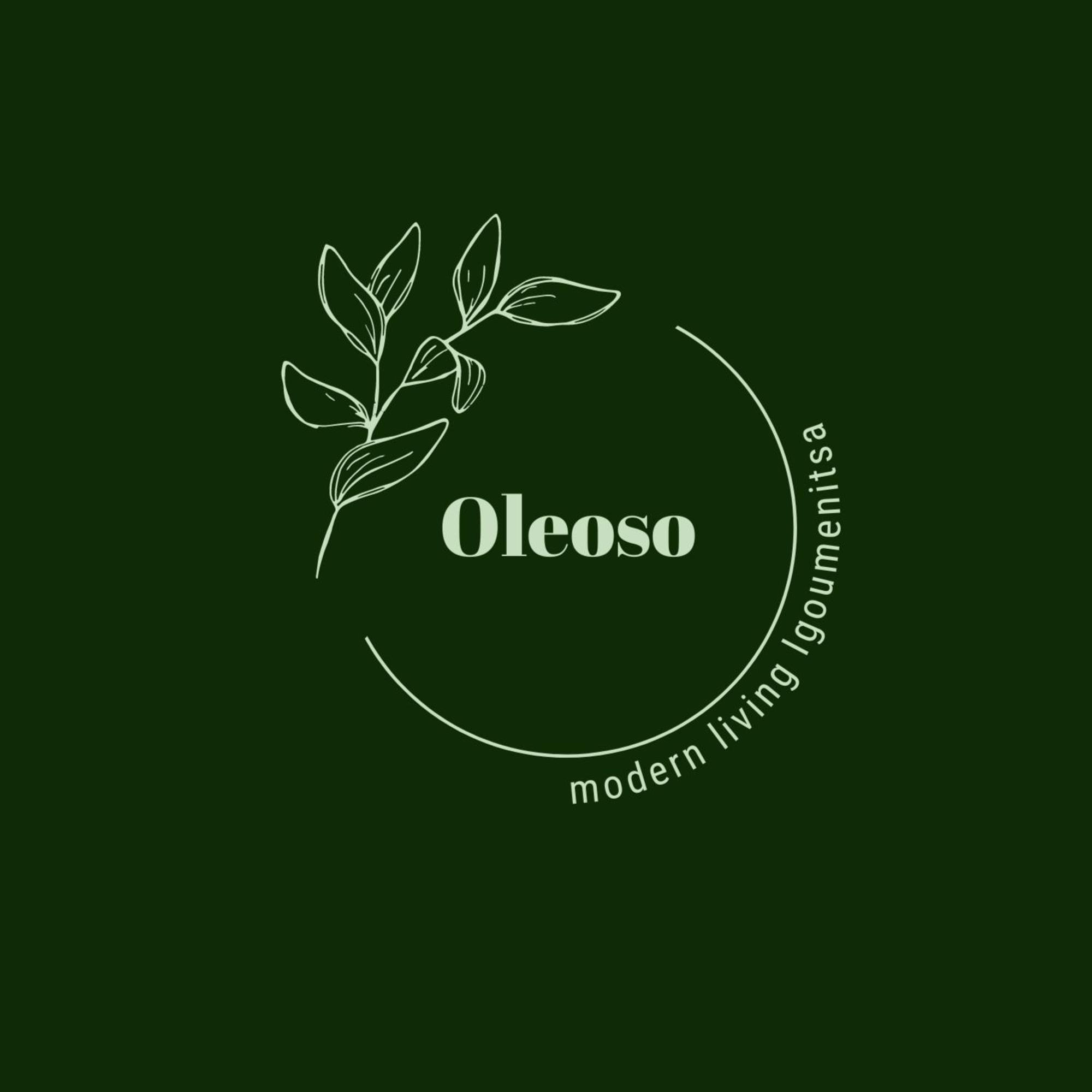 Oleoso Leilighet Igoumenítsa Eksteriør bilde